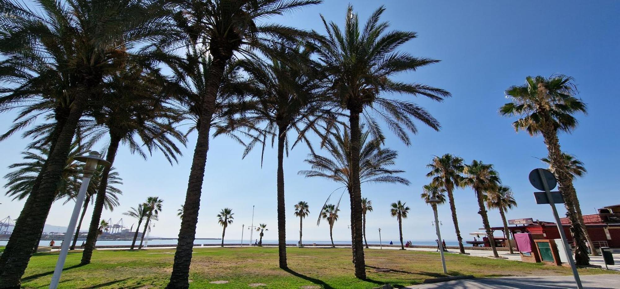 Paloma Beach Málaga Kültér fotó